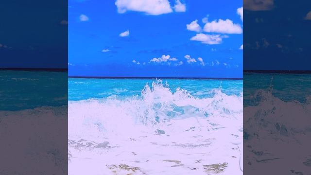 Созерцая (Чтение)