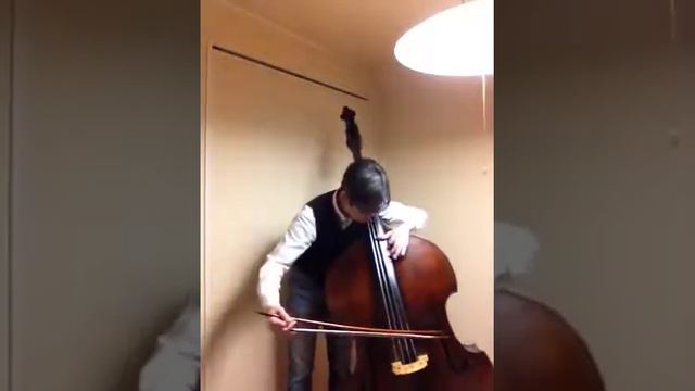 Pavane for starter of practice Db смотреть онлайн