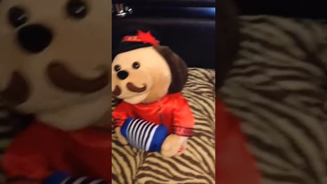 Забавный песик...Прикол с игрушкой смотреть онлайн