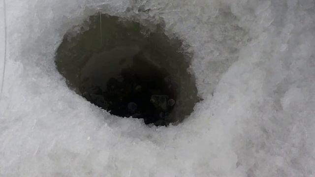 Щука в Астане на 1.6 кг смотреть онлайн