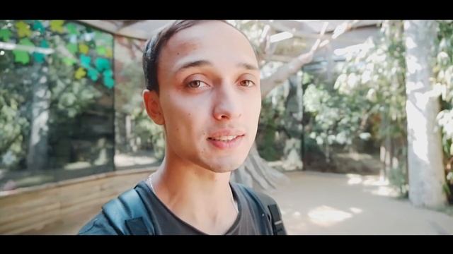 Влог: Дима и Кристина, Зоопарк Барселона. смотреть онлайн