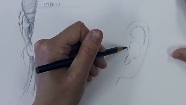 How to Draw Ears смотреть онлайн