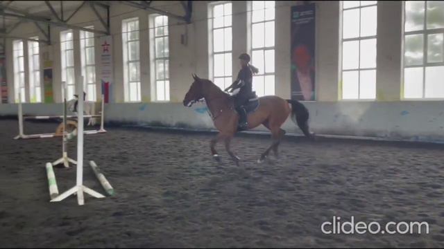 Одно из лучших предложений на рынке. Арт.: 2959 смотреть онлайн