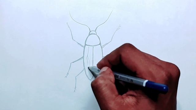 Easy way to draw cockroach step by step смотреть онлайн