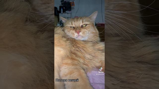Потеря вещей смотреть онлайн