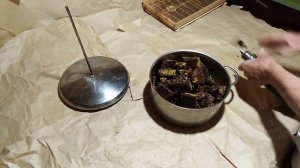 Как извлечь пергу из сотов?