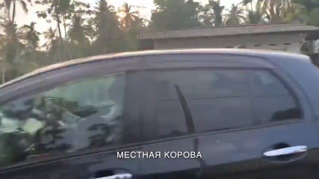 Галле роуд Шри Ланка смотреть онлайн
