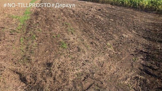 NO-TILL как метод борьбы с эрозией почвы. 03.09.2019 смотреть онлайн