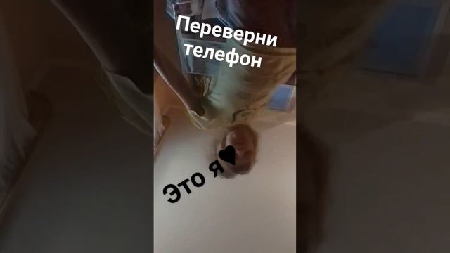 Я света мне 8 я живу в Боровичах смотреть онлайн