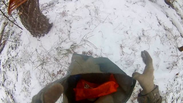установка беличьей кормушки и первые видео смотреть онлайн