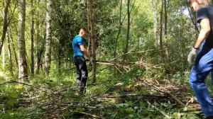 БАЗА в ЛЕСУ: возрождение / 1 часть: выбор места и расчистка территории / Жнет и Кубоëж строят базу