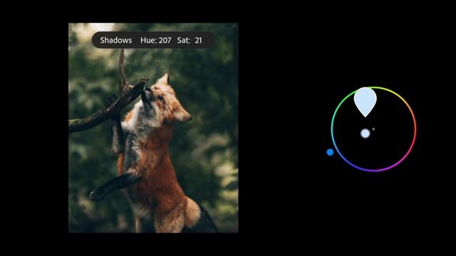 How To Edit Wildlife Preset For Animals — Free Tutorial | DNG | Dark Green Preset Lightroom Mobile