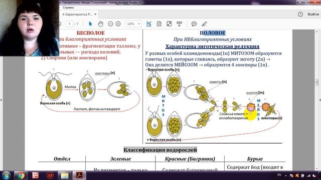 ЖИЗНЕННЫЙ ЦИКЛ ВОДОРОСЛЕЙ ЗА 6 МИНУТ (+ разбор заданий из ЕГЭ) смотреть онлайн