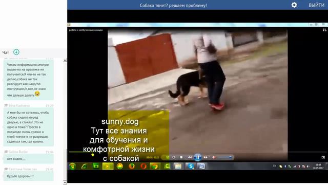 пес тярнет разбираем пример как отучить собакутянуть смотреть онлайн