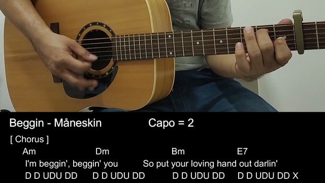 Beggin - Måneskin - Easy Guitar Tutorial смотреть онлайн