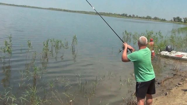 Ловля сазана смотреть онлайн