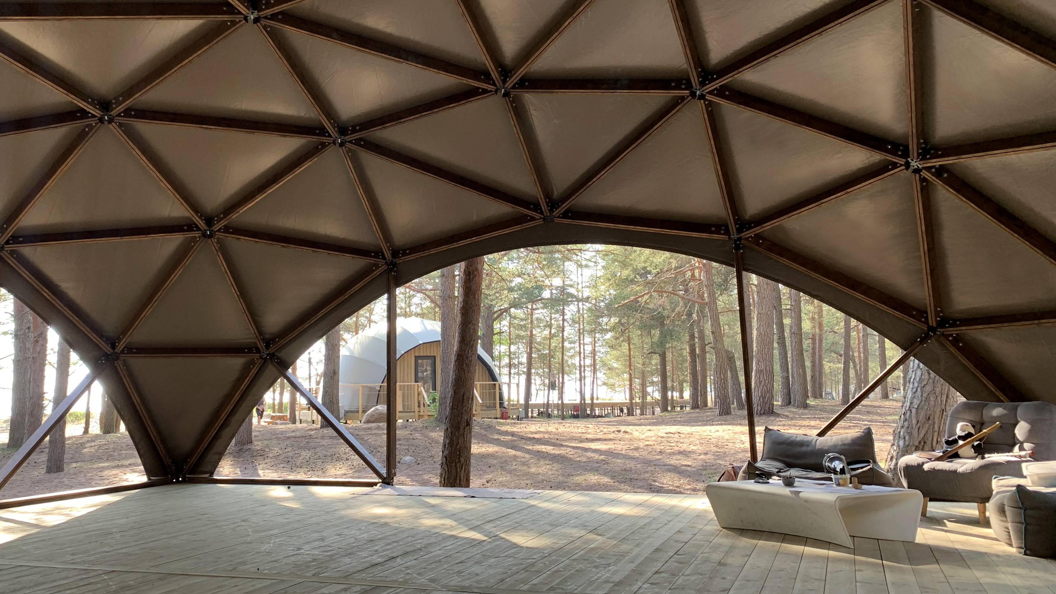 Окта-купол D10 - Wasart - 2024