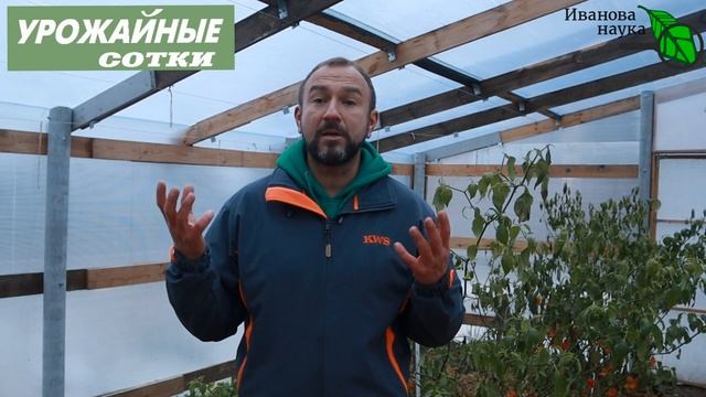 Ну вот! НЕ УСПЕЛ посеять СИДЕРАТЫ! Что теперь делать? смотреть онлайн