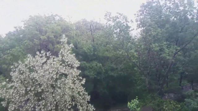 Белой акации... 💖☺😨 смотреть онлайн