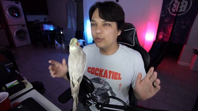 Do Birds Give You Allergies?