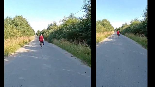 ДАЧА \ ВЫШЛИ НЕ ТАМ И ЧУТЬ НЕ ПОТЕРЯЛИСЬ В ЛЕСУ смотреть онлайн