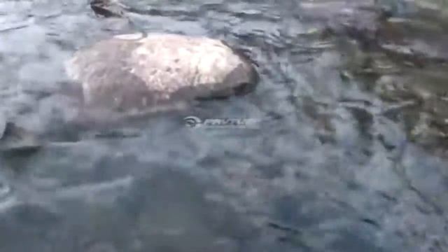 Анекдоты про рыбалку, часть 2/ Jokes about fishing. смотреть онлайн