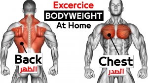 Тренировка с собственным весом дома (грудь и спина)