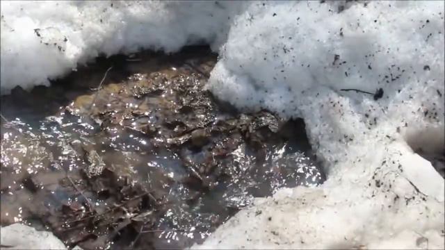 Весенний родник смотреть онлайн