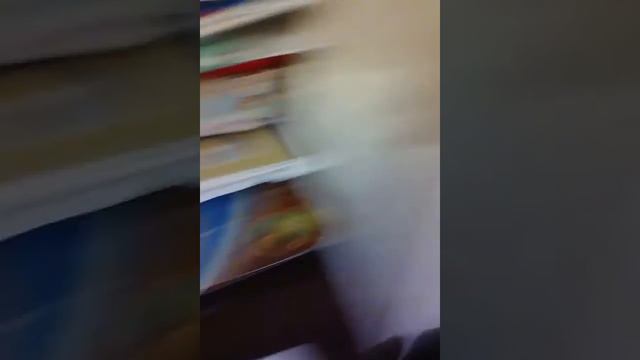 Как можно сделать блокнот??? МММ... Я знаю как!!!СМОТРИ!!!!! смотреть онлайн