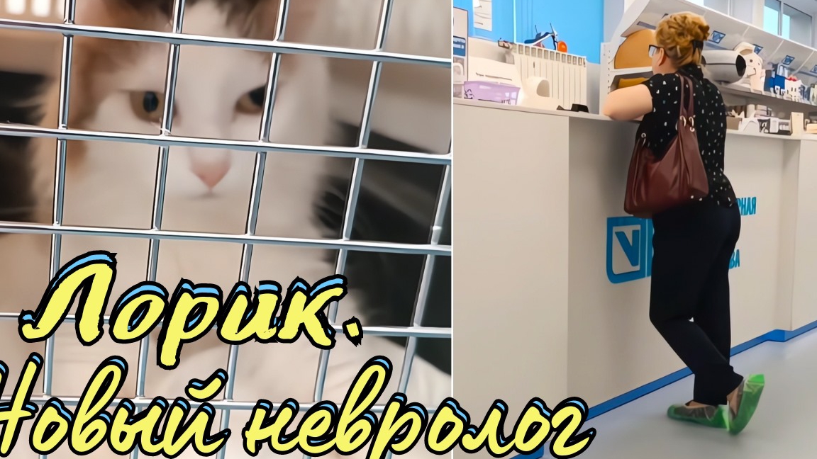 Лорик.У нас новый невролог. смотреть онлайн