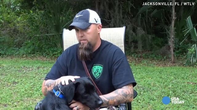 Watch service dog calm war vet's PTSD reaction смотреть онлайн