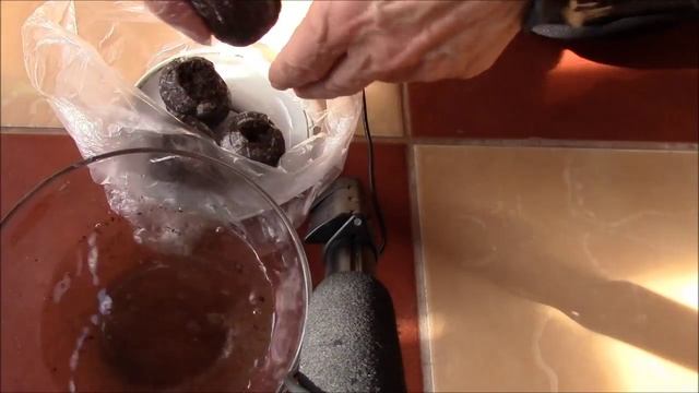 Торфяные таблетки. Как ими пользоваться для посадки семян? смотреть онлайн