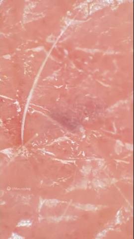 Zooming into my hand. #shorts смотреть онлайн