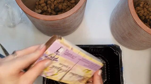 Переделка кашпо. Система автономного полива. Мои покупки в магазинах H&M, Fix Price, AliExpress. смотреть онлайн