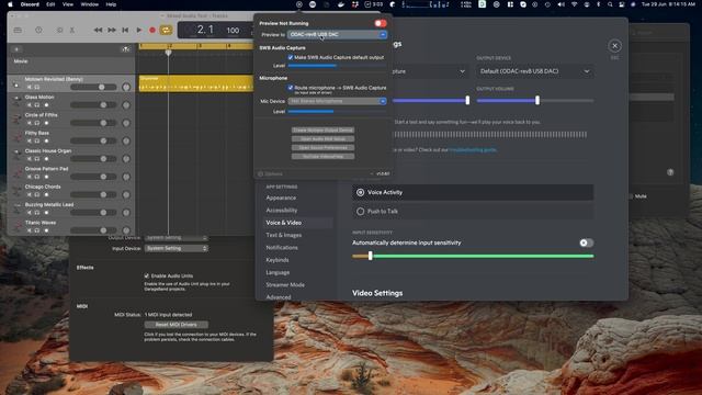 SWB Audio App/Capture with Discord смотреть онлайн