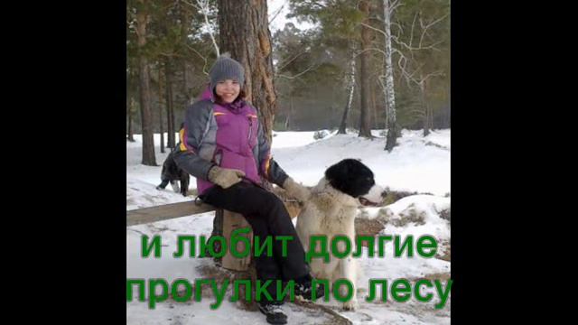 Cтраж Cибири ГЕФЕСТ смотреть онлайн