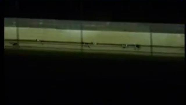 IGB - Greyhound & Petworld A4 Semi-Final 15/12/2018 Race 10 - Limerick смотреть онлайн