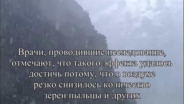 Как создать гипоаллергенный быт  — Статья