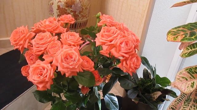 Букет роз Bouquet Of Roses?