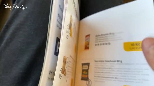 TRIP REPORT | RegioJet | Vienna - Prague | Relax Class