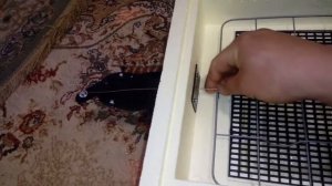 Инкубатор Золушка на 28 яиц