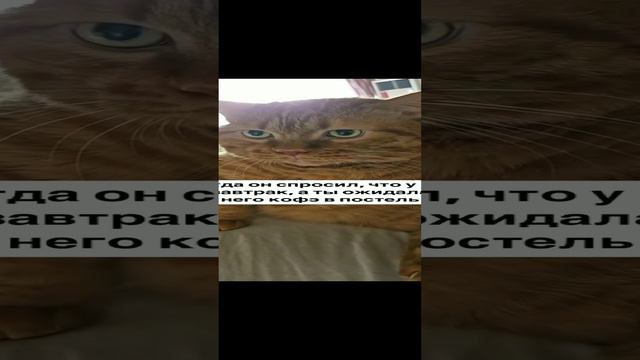 утро не доброе🤣 смотреть онлайн