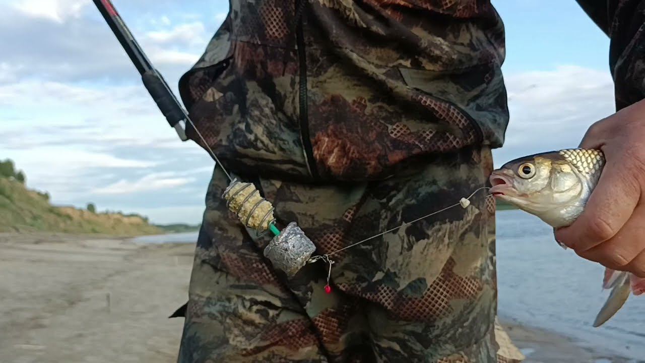 Короткая рыбалка после работы(4часа). Поклёвки крупным планом Рецепт прикормки.Результат - отличный смотреть онлайн