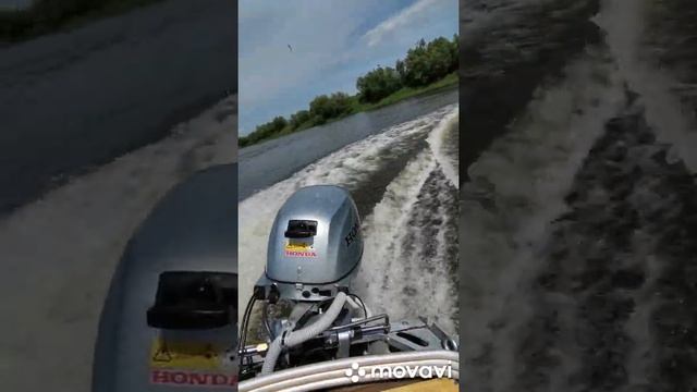 КАЗАНКА-М и HONDA BF 20 смотреть онлайн