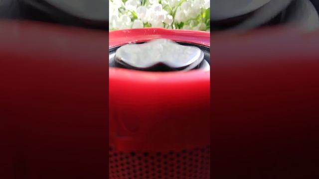 BaSS test китайской колонкой t&g-157 смотреть онлайн