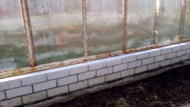 23.09.2017 Парник или теплица? Как правильно назвать? А как вы думаете? смотреть онлайн