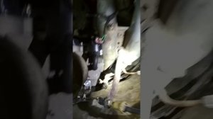 Инжектор на Мерседес отчёт по установке Январь 5.1