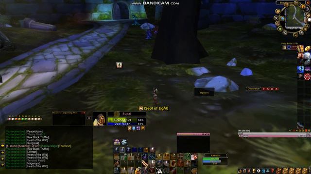 Wow Classic Turtle WoW. Farm gold. 80-120g per hour смотреть онлайн