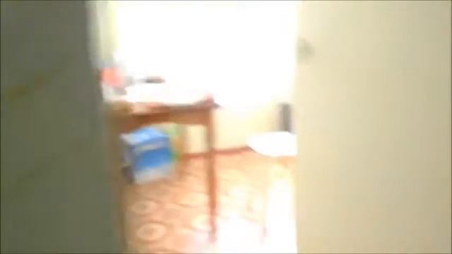 БЕШЕНЫЕ ПТИЦЫ | СВОЛОЧИ ШУСТРЫЕ