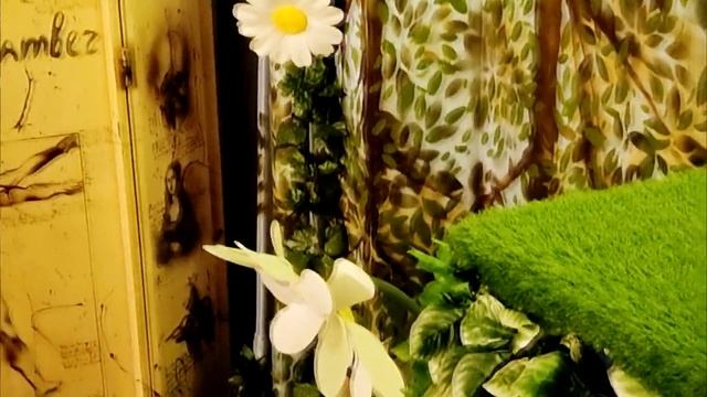 Музей эмоций ч 1 Санкт-Петербург. Пожалуй один из самых важных для нас смотреть онлайн